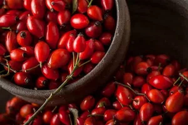 تصویر 3 از قیمت انواع زرشک اعلا + خرید باور نکردنی
